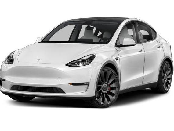 TESLA MODEL Y 2023 7SAYGDEE9PF800434 image